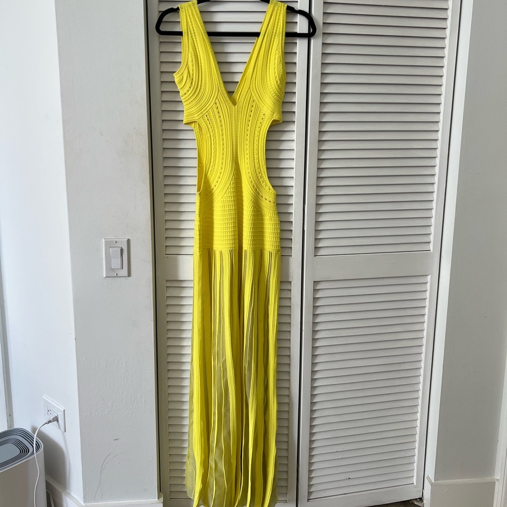 Ronny Kobo Dress - Picture 7 of 8